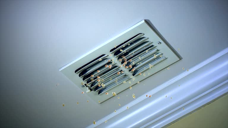 Best Home Air Vent Cleaning  in Fall River, MA